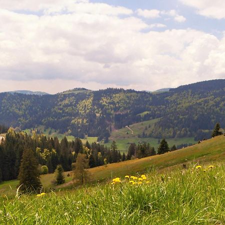 Relaxapartments Black Forest Moments - Maisonette-Wohnung Mit Sonnenbalkon, Schnelles Internet, Naehe Triberger Wasserfaelle, Fuer Bis Zu 4 Personen Шёнвальд Экстерьер фото