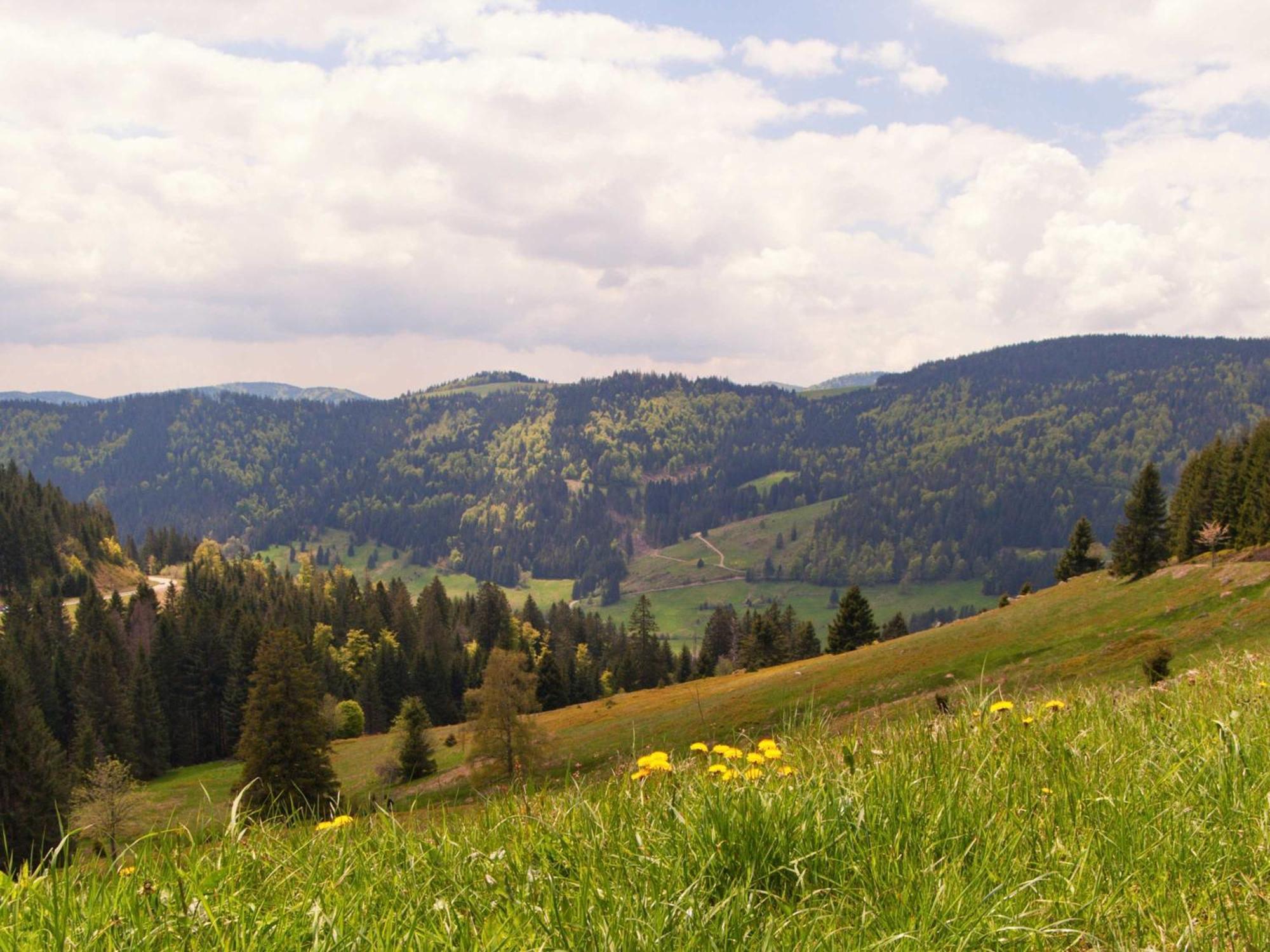 Relaxapartments Black Forest Moments - Maisonette-Wohnung Mit Sonnenbalkon, Schnelles Internet, Naehe Triberger Wasserfaelle, Fuer Bis Zu 4 Personen Шёнвальд Экстерьер фото